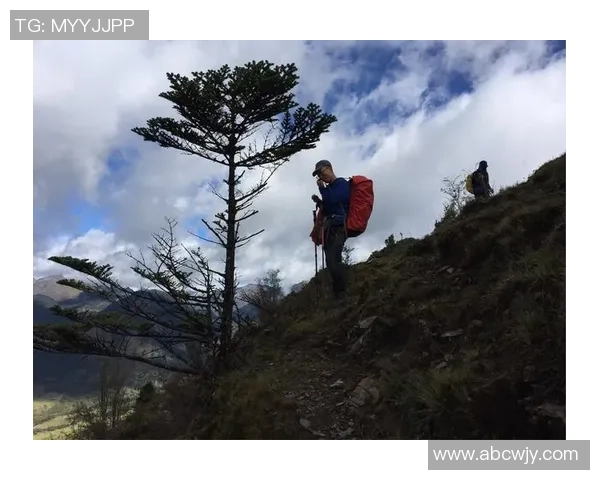 斯通斯的传奇之旅：从摇滚乐坛到文化象征的演变与影响
